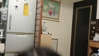 哥哥的变态绫森一香