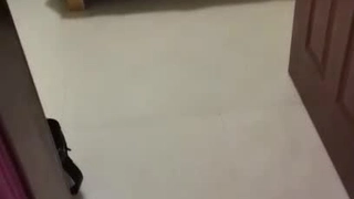 Al—李智恩兔女郎