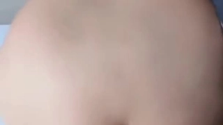 羞羞漫画网站寂寞空姐偷情记录-半推半就强入1